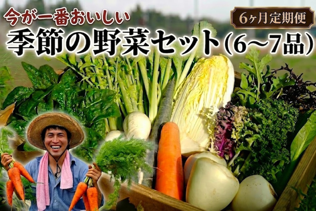 【定期便6回】季節の野菜セット（6～7品）