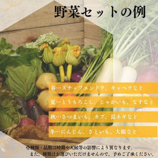【定期便6回】季節の野菜セット（6～7品）