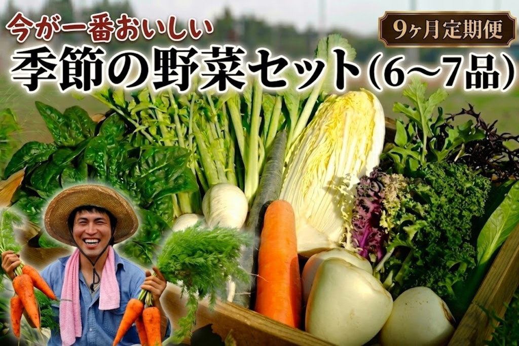 【定期便9回】季節の野菜セット（6～7品）