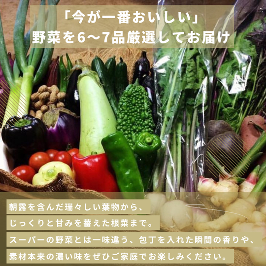 縲仙ョ壽悄萓ソ9蝗槭大ュ」遽縺ョ驥手除繧サ繝繝茨シ6ス7蜩シ