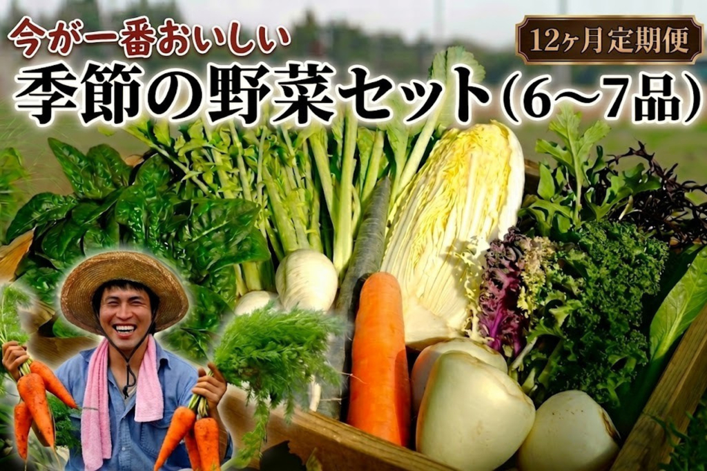 【定期便12回】季節の野菜セット（6～7品）