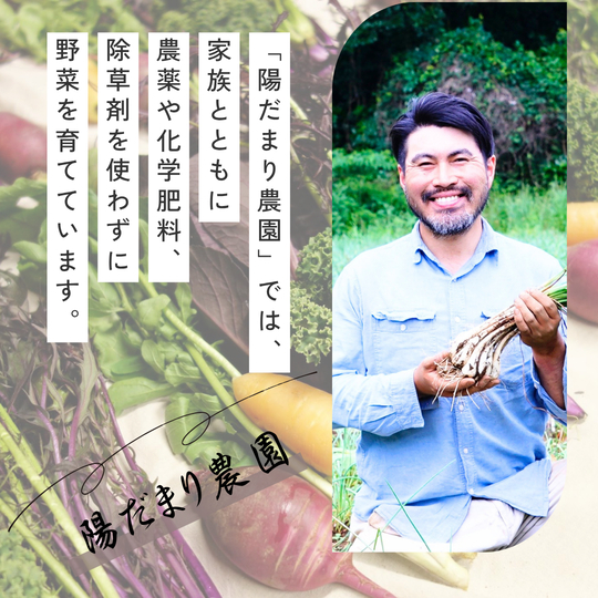 縲仙ョ壽悄萓ソ12蝗槭大ュ」遽縺ョ驥手除繧サ繝繝茨シ6ス7蜩シ