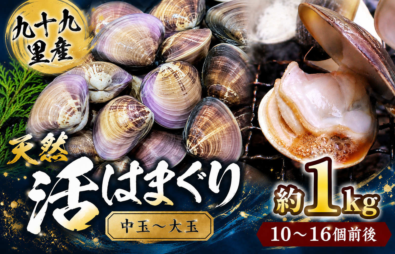 九十九里産　天然　活はまぐり（中玉～大玉） 約1kg（10～16個前後） / はまぐり ハマグリ 蛤 天然 活はまぐり 活ハマグリ 活蛤 生 冷蔵 中玉 大玉 貝 貝類 魚介 魚貝 魚介類 海鮮 天然 砂抜き済 1kg 九十九里産 匝瑳市産 産地直送 産直 千葉県 匝瑳市