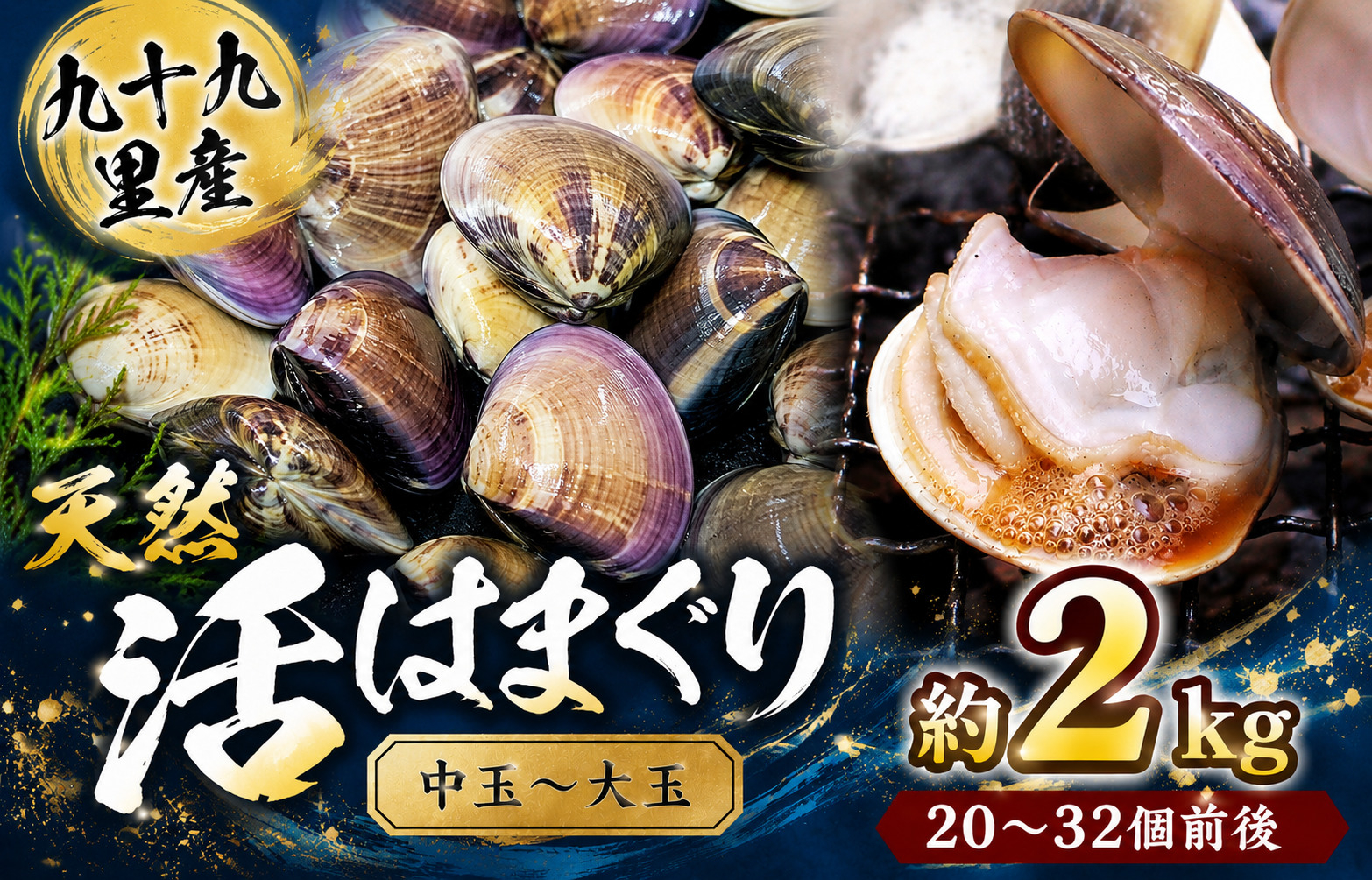九十九里産　天然　活はまぐり（中玉～大玉） 約2kg（20～32個前後） / はまぐり ハマグリ 蛤 天然 活はまぐり 活ハマグリ 活蛤 中玉 大玉 貝 貝類 魚介 魚貝 海鮮 2kg 九十九里産 産地直送 産直 千葉県 匝瑳市