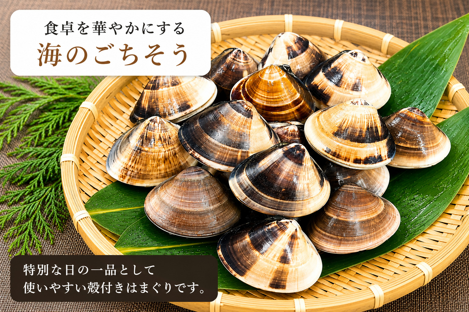 九十九里産　天然　活はまぐり（中玉～大玉） 約2kg（20～32個前後） / はまぐり ハマグリ 蛤 天然 活はまぐり 活ハマグリ 活蛤 中玉 大玉 貝 貝類 魚介 魚貝 海鮮 2kg 九十九里産 産地直送 産直 千葉県 匝瑳市