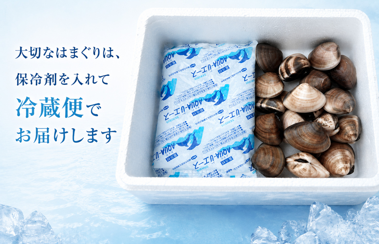 九十九里産　天然　活はまぐり（中玉～大玉） 約2kg（20～32個前後） / はまぐり ハマグリ 蛤 天然 活はまぐり 活ハマグリ 活蛤 中玉 大玉 貝 貝類 魚介 魚貝 海鮮 2kg 九十九里産 産地直送 産直 千葉県 匝瑳市