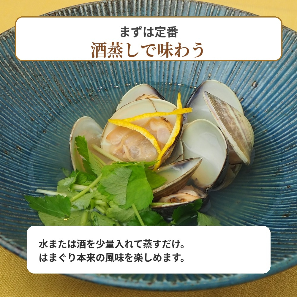 九十九里産　天然　活はまぐり（中玉～大玉） 約2kg（20～32個前後） / はまぐり ハマグリ 蛤 天然 活はまぐり 活ハマグリ 活蛤 中玉 大玉 貝 貝類 魚介 魚貝 海鮮 2kg 九十九里産 産地直送 産直 千葉県 匝瑳市