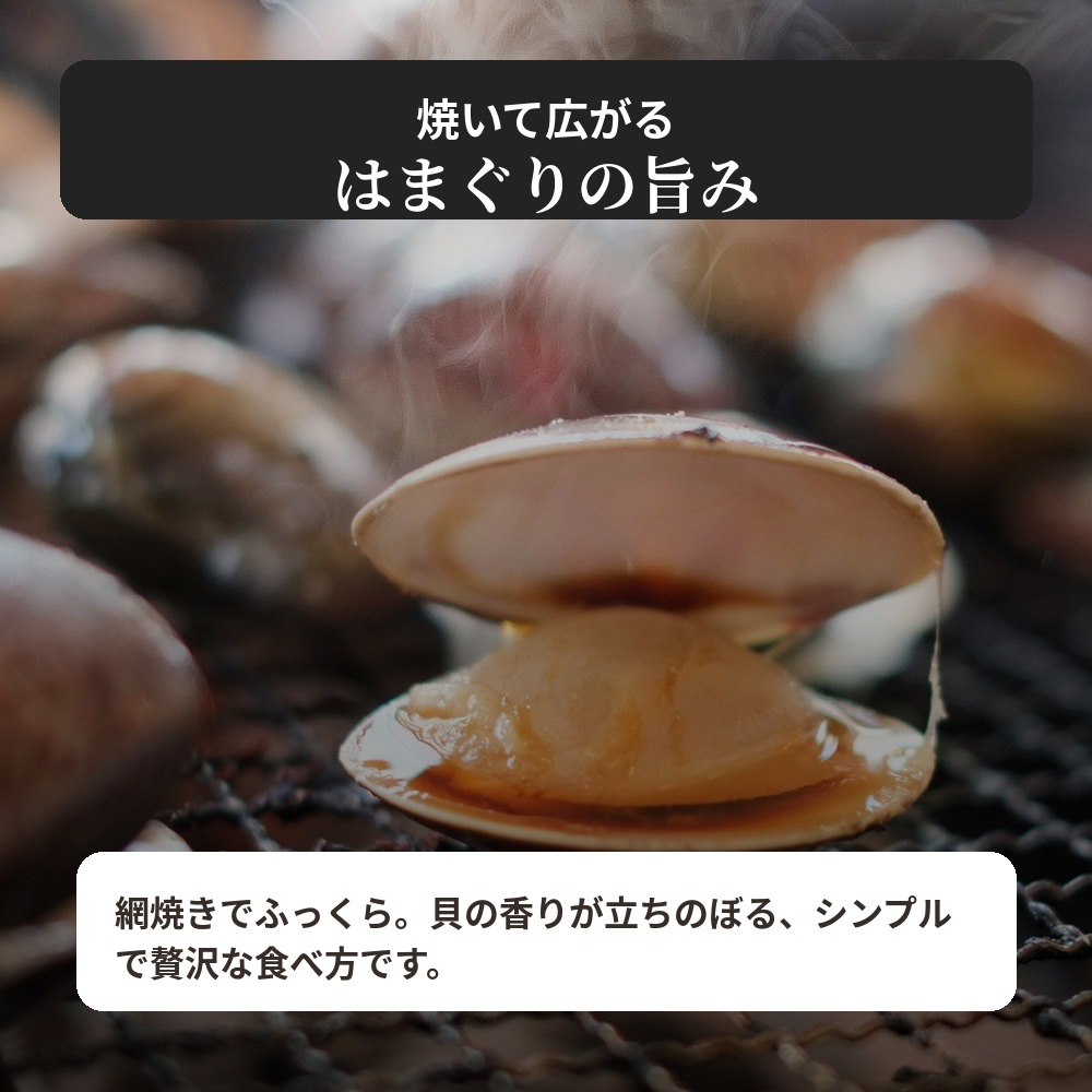 九十九里産　天然　活はまぐり（中玉～大玉） 約2kg（20～32個前後） / はまぐり ハマグリ 蛤 天然 活はまぐり 活ハマグリ 活蛤 中玉 大玉 貝 貝類 魚介 魚貝 海鮮 2kg 九十九里産 産地直送 産直 千葉県 匝瑳市