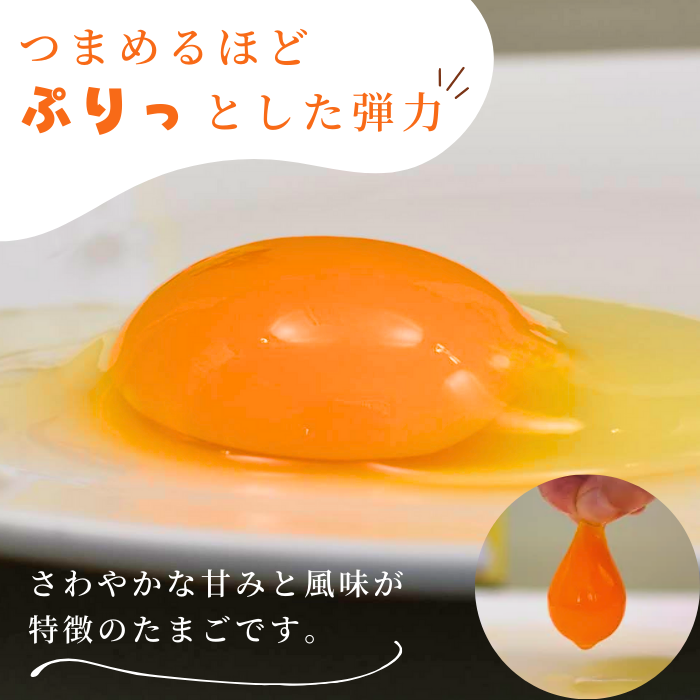 縲仙ョ壽悄萓ソ9蝗槭台ケ晏香荵晞後ヵ繧。繝シ繝縺薙□繧上j縺溘∪縺碑エ育ュ皮畑30蛟九懊≠縺翫>豬キ繝サ縺ソ縺ゥ繧翫ョ驥後懊顔區邇峨 シ 縺溘∪縺 蜊オ 邇牙ュ 繧ソ繝槭ざ 逕溷嵯 蜊オ縺九¢縺秘」ッ 鮓丞嵯 30蛟 螳壽悄萓ソ 9蝗