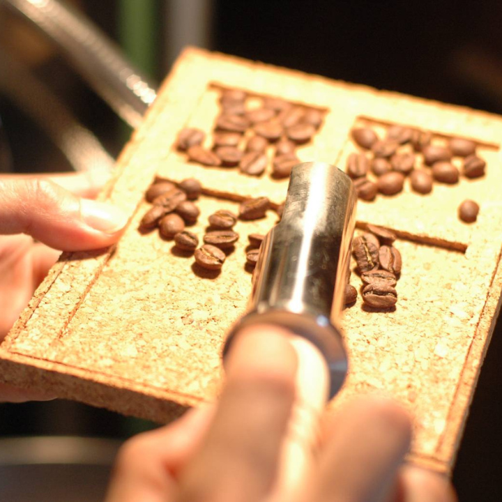 ã㥠ã ãŒãã³ ãã¬ã³ã 200gã ãšããªã㢠ã€ã«ã¬ãã§ã W 200gãã±ãã¢AA 200gïŒè±ïŒ ïŒ çç² ã³ãŒã㌠çç²è± ã³ãŒããŒè± ã¹ãã·ã£ã«ãã£ã³ãŒã㌠ãšããªãã¢ã€ã«ã¬ãã§ãW ã±ãã¢AA