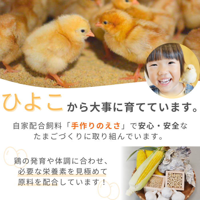 縲仙ョ壽悄萓ソ9蝗槭台ケ晏香荵晞後ヵ繧。繝シ繝縺薙□繧上j縺溘∪縺碑エ育ュ皮畑30蛟九懊≠縺翫>豬キ繝サ縺ソ縺ゥ繧翫ョ驥後懊顔區邇峨 シ 縺溘∪縺 蜊オ 邇牙ュ 繧ソ繝槭ざ 逕溷嵯 蜊オ縺九¢縺秘」ッ 鮓丞嵯 30蛟 螳壽悄萓ソ 9蝗