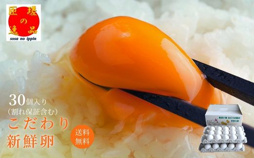 九十九里ファームこだわりたまご贈答用30個〜あおい海・みどりの里〜《白玉》 ／ たまご 卵 玉子 タマゴ 生卵 卵かけご飯 鶏卵 30個