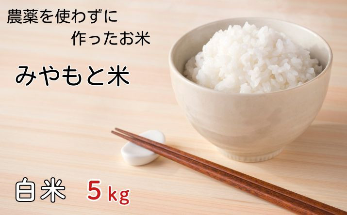 農薬を使わずに作ったお米　みやもと米（白米）　5kg