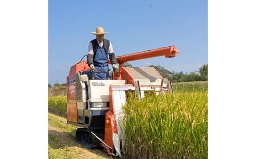 【定期便3回】千葉県産粒すけ5kg