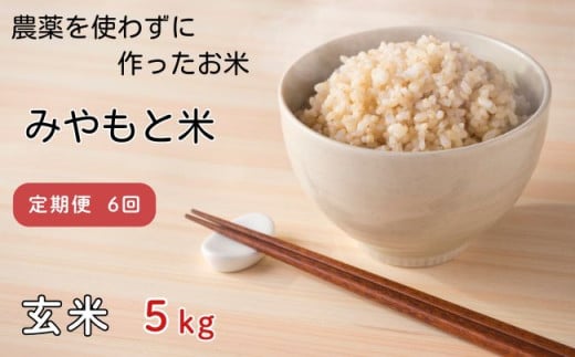 【定期便6回】農薬を使わずに作ったお米 みやもと米（玄米） 5kg