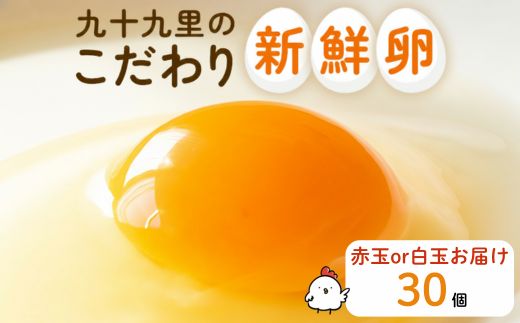 《訳あり》九十九里ファームこだわりたまご 30個～あおい海・みどりの里～（赤玉or白玉） ／ たまご 卵 玉子 タマゴ 30個 卵かけご飯 新鮮 旨み 甘み 贈答用 贈答 ギフト 贈り物 訳あり 訳アリ 千葉県 匝瑳市 送料無料 期間限定