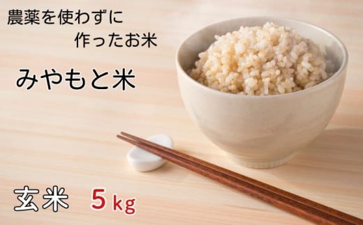 農薬を使わずに作ったお米 みやもと米（玄米） 5kg