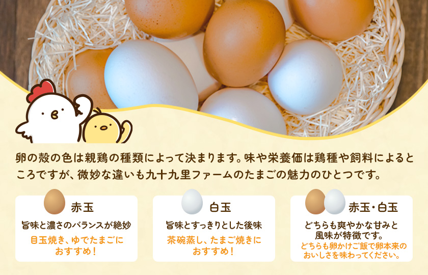 【定期便3回】九十九里ファームこだわりたまご贈答用30個〜あおい海・みどりの里〜《赤玉》 ／ たまご 卵 玉子 タマゴ 生卵 卵かけご飯 鶏卵 30個 定期便 3回