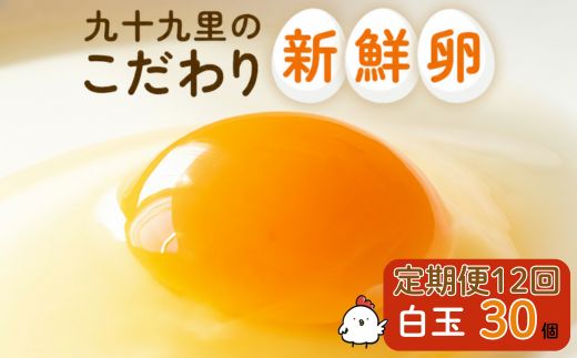 【定期便12回】九十九里ファームこだわりたまご贈答用30個〜あおい海・みどりの里〜《白玉》 ／ たまご 卵 玉子 タマゴ 生卵 卵かけご飯 鶏卵 30個 定期便 12回