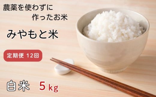 【定期便12回】農薬を使わずに作ったお米 みやもと米（白米） 5kg