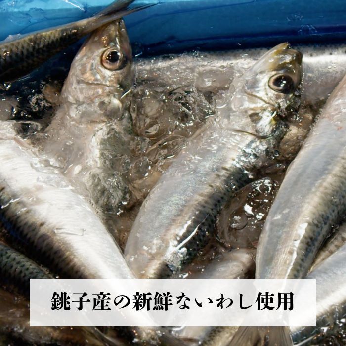 千葉県名産「はまぐり」と「いわし」の押し寿司　食べ比べセット　ギフト箱入り