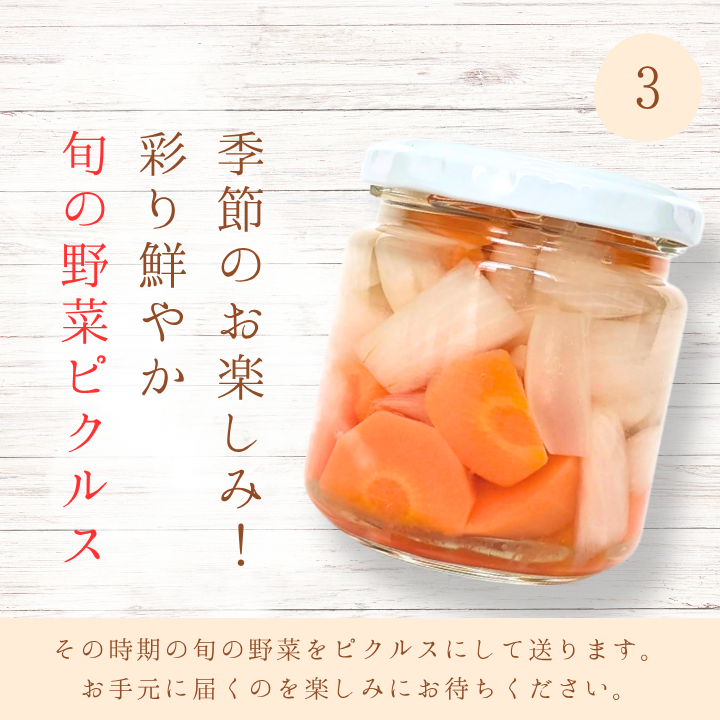 メルカドレグメス　ピクルス　3種セット ／ ピクルス ミニトマト うずらの卵 旬の野菜 自家製 セット 詰め合わせ
