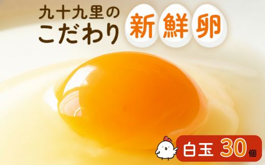 九十九里ファームこだわりたまご贈答用30個〜あおい海・みどりの里〜《白玉》 ／ たまご 卵 玉子 タマゴ 生卵 卵かけご飯 鶏卵 30個