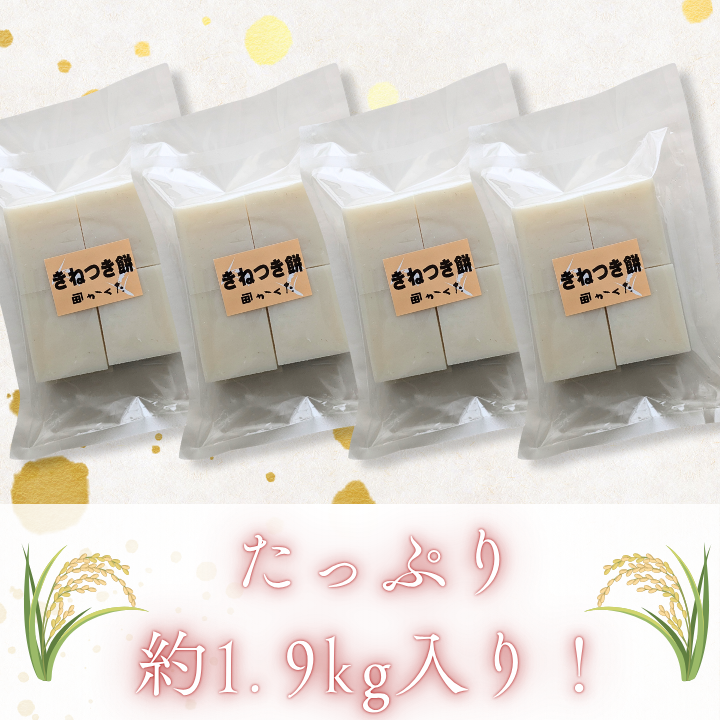 匝瑳市産水稲もち米使用　杵つき餅　約1.9kg ／ 杵つき餅 餅 切り餅 産地直送 送料無料 匝瑳市 千葉