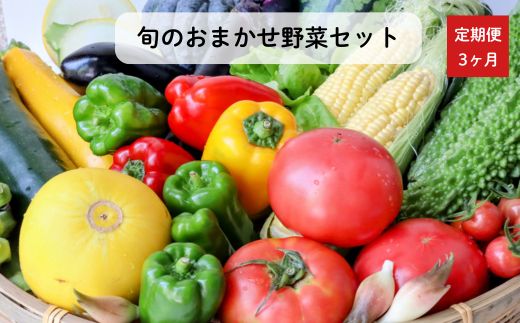 《定期便3ヶ月》旬のおまかせ野菜セット　4種類以上 ／ 野菜 やさい 旬の野菜 セット 詰め合わせ 定期便