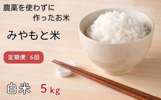 【定期便6回】農薬を使わずに作ったお米 みやもと米（白米） 5kg