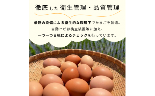 【定期便12回】九十九里ファームこだわりたまご贈答用30個〜あおい海・みどりの里〜