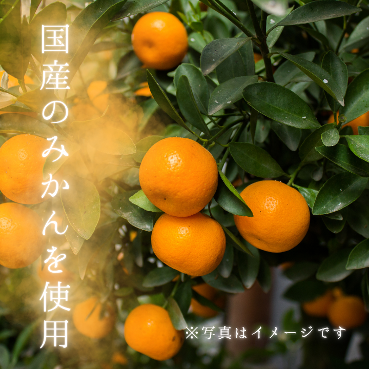 ã¡ã«ã«ãã¬ã°ã¡ã¹ããã©ã€ãã«ãŒããã¿ãã ïŒ ãã©ã€ãã«ãŒã ãã«ãŒã æç© ãã ãã® ã¿ãã ãã«ã³ èæ èªå®¶è£œ 3000å