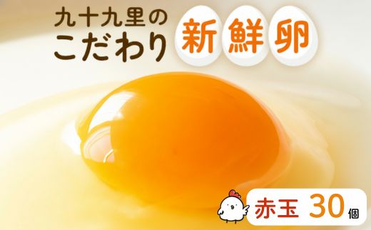 九十九里ファームこだわりたまご贈答用30個〜あおい海・みどりの里〜《赤玉》 ／ たまご 卵 玉子 タマゴ 生卵 卵かけご飯 鶏卵 30個