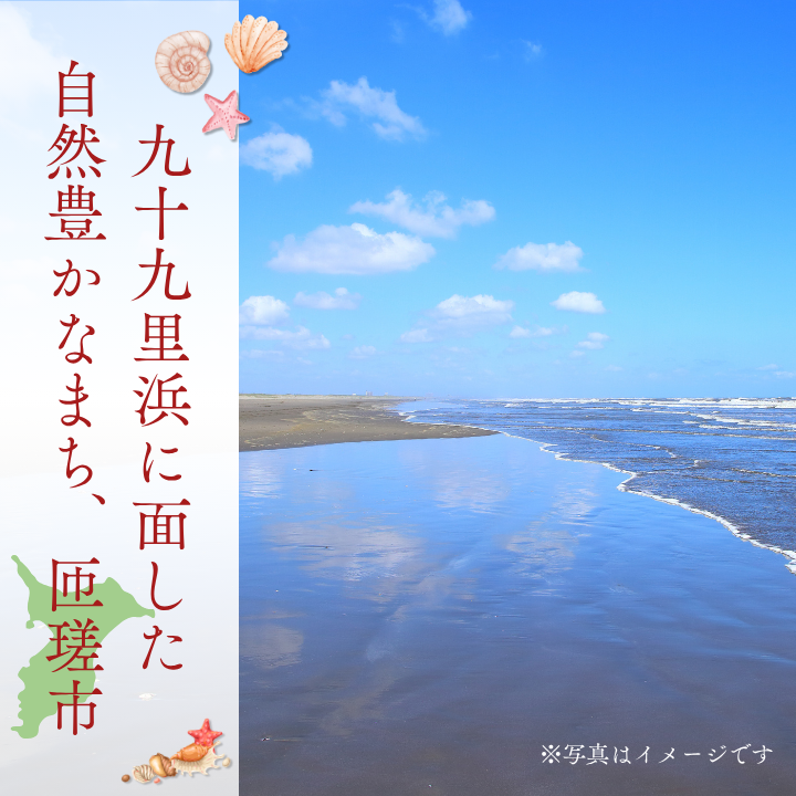 蛹晉袖蟶ら肇豌エ遞イ繧ゅ■邀ウ菴ソ逕ィ縲邇邀ウ鬢縲邏1.9kg シ 邇邀ウ鬢 鬢 蛻繧企、 騾∵侭辟。譁 蛹晉袖蟶 蜊闡