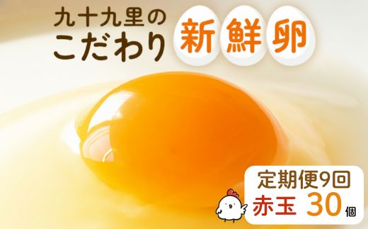 【定期便9回】九十九里ファームこだわりたまご贈答用30個〜あおい海・みどりの里〜《赤玉》 ／ たまご 卵 玉子 タマゴ 生卵 卵かけご飯 鶏卵 30個 定期便 9回