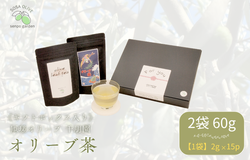 《ギフトボックス入り》匝瑳オリーブ 千朋園　オリーブ茶　2袋 60g（1袋2g×15パック×2袋） ／ お茶 オリーブ茶 オリーブ オレウロペイン ポリフェノール ティーバッグ ギフト 贈答 贈り物