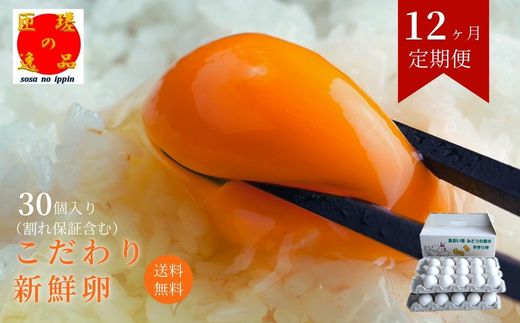 【定期便12回】九十九里ファームこだわりたまご贈答用30個〜あおい海・みどりの里〜《白玉》 ／ たまご 卵 玉子 タマゴ 生卵 卵かけご飯 鶏卵 30個 定期便 12回