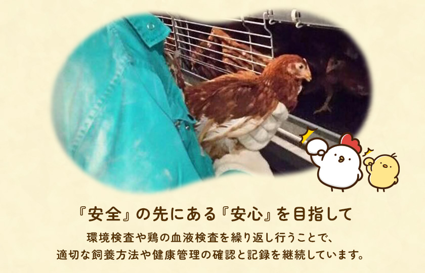 九十九里ファームこだわりたまご贈答用30個〜あおい海・みどりの里〜《赤玉》 ／ たまご 卵 玉子 タマゴ 生卵 卵かけご飯 鶏卵 30個