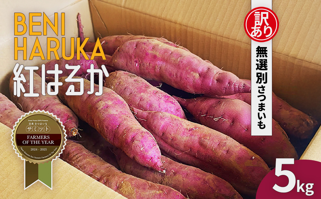 å
è¡åä»ãèš³ããããã€ãŸè çŽ
ã¯ãã çŽ5kg åèçéŠååžç£ã2025幎12æäžæ¬ããé æ¬¡çºéã/ãã€ãŸãã ãã€ãŸè è山蟲å éŠååž/KTRAZ005