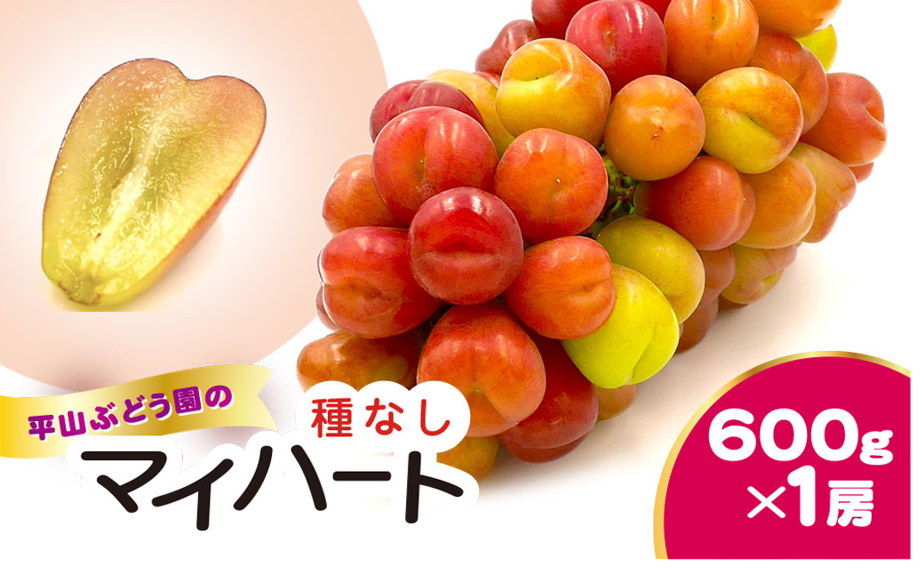 マイハート 先行予約 種なし 600g 平山ぶどう園 ぶどう まいはーと マイ・ハート ブドウ 葡萄 果物 くだもの フルーツ 厳選 農家直送 大粒 たねなし ふるーつ リピート リピーター maiha-to 多数 朝どれ 果肉 新鮮 budou 2026年発送 千葉県 香取市 HRB002