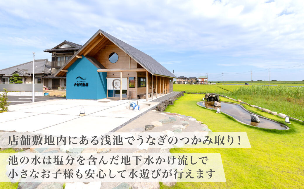 æžæå·éåºã®åœç£ããªãã®ã€ãã¿åãäœéšãã±ãã / KTRY006 ããªã åœç£ããªã é°» åœç£é°» ãŠãã® åœç£ãŠãã® ã€ãã¿åã äœéš ãã±ãã ããªãã®ã€ãã¿åã