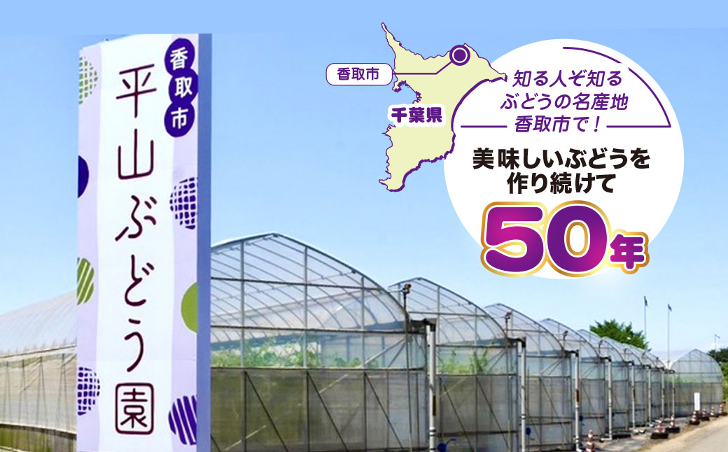 シャインマスカット 先行予約 種なし 700g 平山ぶどう園 マスカット ぶどう ますかっと しゃいんますかっと ブドウ 葡萄 果物 くだもの フルーツ 厳選 農家直送 大粒 たねなし ふるーつ リピート リピーター 多数 朝どれ 果肉 新鮮 budou 2026年発送 千葉県 香取市 HRB001