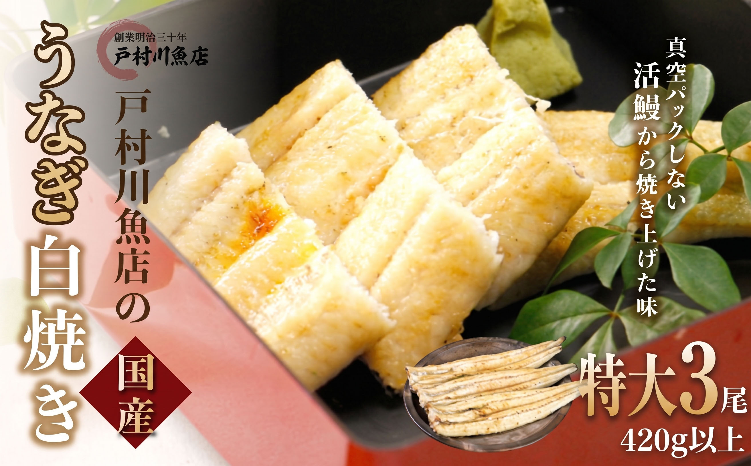 戸村川魚店の国産うなぎ 白焼き特大サイズ 3尾 セット /  うなぎ 国産うなぎ 鰻 国産鰻 ウナギ 国産ウナギ 白焼 白焼き TMR003