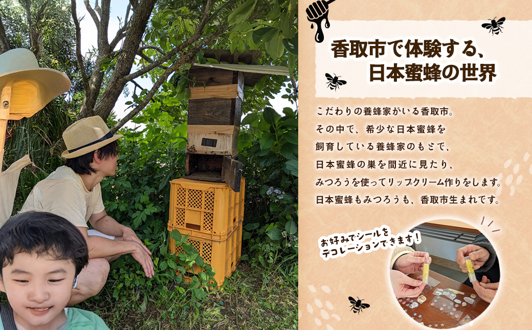 養蜂体験＆みつろうリップクリーム作り ふるさと納税 養蜂 みつろう ミツバチ 蜜蜂 無添加 体験 リップクリーム 千葉県 香取市 送料無料  SOR002