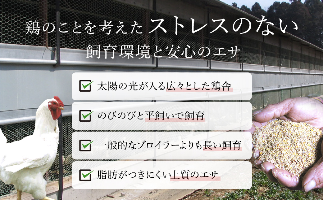 【訳あり】水郷どり切り落とし(もも肉・むね肉ミックス)　3kg(1kg×3袋)/鶏肉専門店「水郷のとりやさん」 / KTRJ019 / もも肉 胸肉 鶏肉 とりにく もも むね肉 肉 とりにく 鳥 鳥肉 お肉  おすすめ 食品 セット 専門店 3kg 3キロ 小分け 小分 詰合せ 詰め合わせ 詰合 