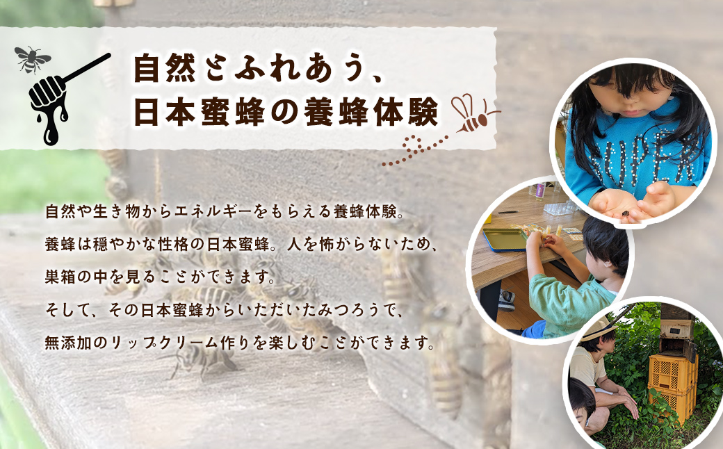 養蜂体験＆みつろうリップクリーム作り ふるさと納税 養蜂 みつろう ミツバチ 蜜蜂 無添加 体験 リップクリーム 千葉県 香取市 送料無料  SOR002