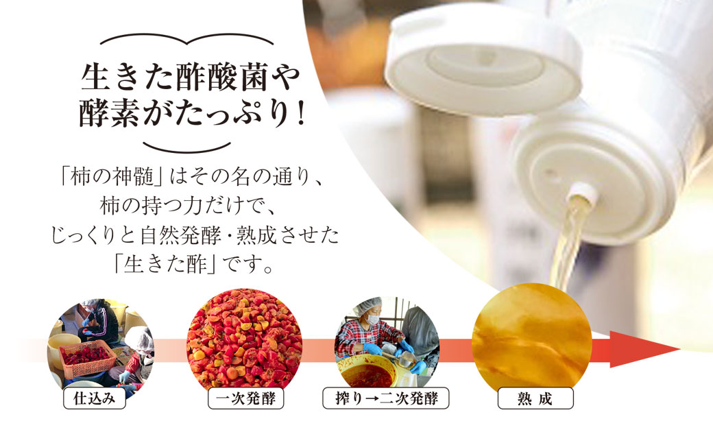 香取市産 酵素酢 柿の神髄 / ギフトレギュラーセット 500ml 2本入り  / 酢 柿酢 酵素 贈答 ギフト 贈り物 プレゼント 健康習慣 健康 SNM004