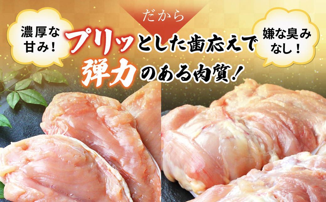 【訳あり】水郷どり切り落とし(もも肉・むね肉ミックス)　3kg(1kg×3袋)/鶏肉専門店「水郷のとりやさん」 / KTRJ019 / もも肉 胸肉 鶏肉 とりにく もも むね肉 肉 とりにく 鳥 鳥肉 お肉  おすすめ 食品 セット 専門店 3kg 3キロ 小分け 小分 詰合せ 詰め合わせ 詰合 