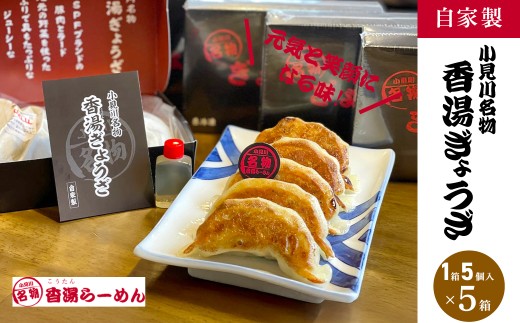 小見川名物　香湯ぎょうざ　1箱5個入り×5箱セット/ 餃子 ぎょうざ 水餃子 水ぎょうざ 鍋 肉 お肉 おつまみ おかず おすすめ 惣菜 お惣菜 食品 加工食品 加工品 / OGS004