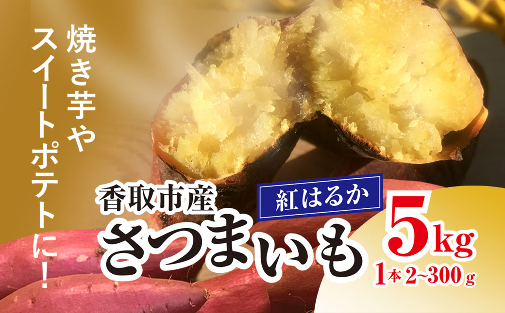 【先行予約】香取市産 さつまいも 紅はるか 約5kg 1本2～300g 焼き芋やスイートポテトにどうぞ KTRW001 / 芋 サツマイモ さつまいも さつま芋 べにはるか ベニハルカ 焼き芋 焼芋 焼いも お芋 おいも いも 生芋